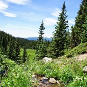 Meet your Posher, Diana